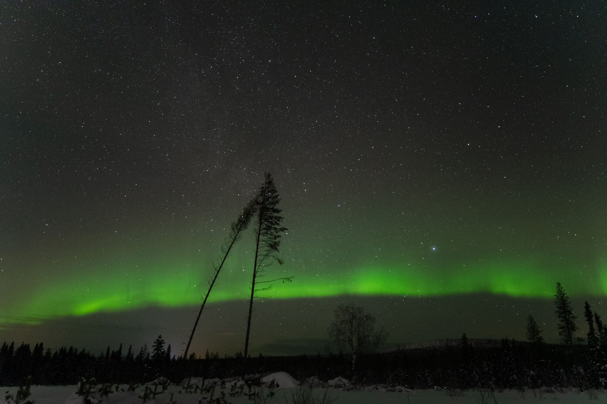 Tiny Northern Lights