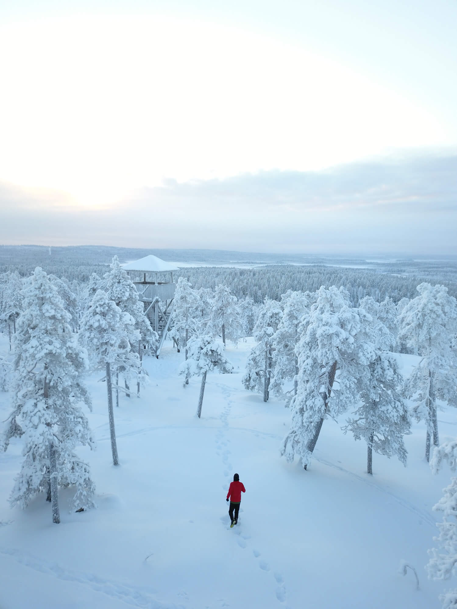 Running and hiking among frozen trees.