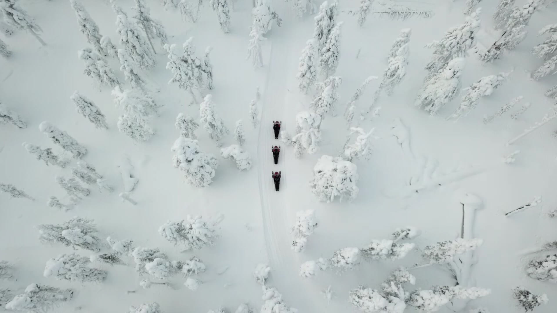 Drone photo of snowmobiles.