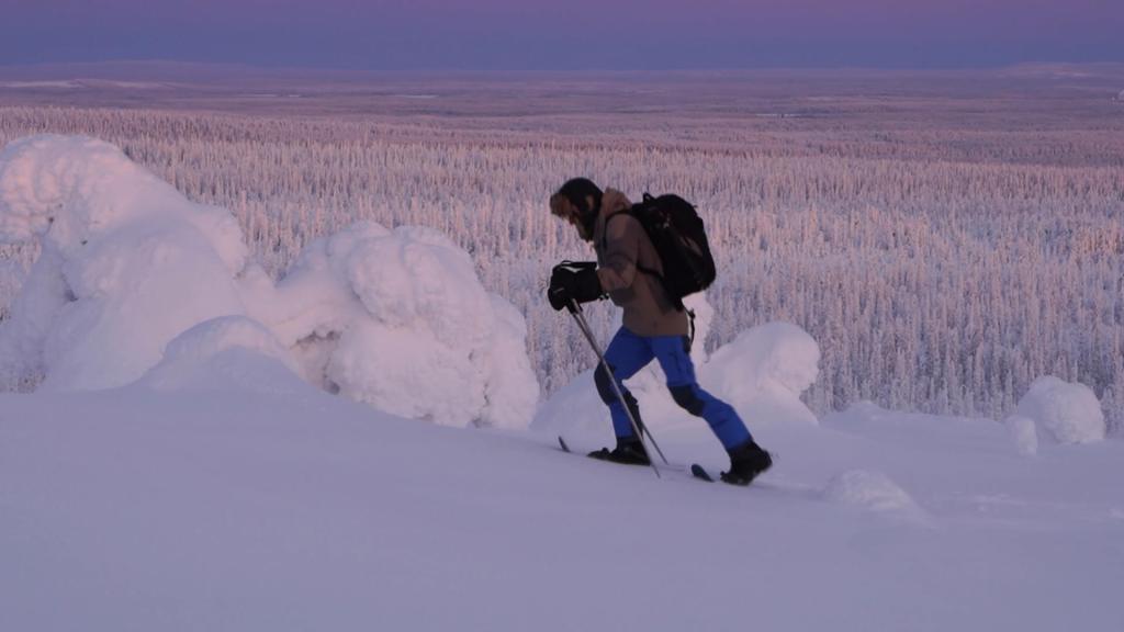 A person walking with skis in the Lappish wilderness