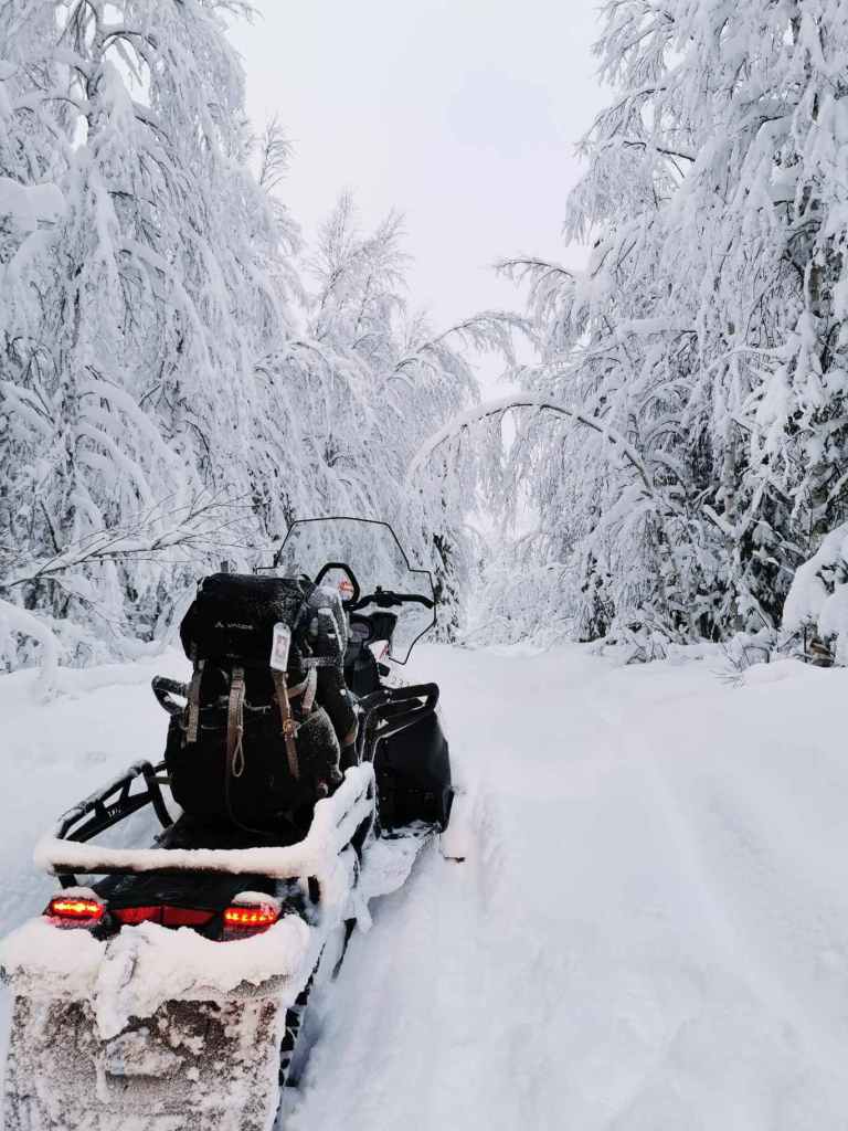 A snowmobile riding in a snowy forest